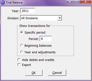 trial balance options